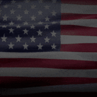 Usa Defend GIF by Standup Now Apparel