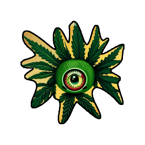 josh_gr giphygifmaker Sticker