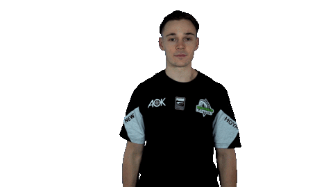 E-Sports Fifa Sticker by Borussia Mönchengladbach