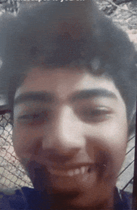 Cat Lick GIF