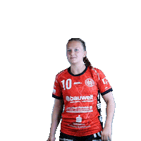 hollenstedt-handball sport handball jubel freude Sticker