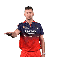 Happy Dance Sticker by Royal Challengers Bengaluru