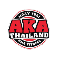 The Rock Fight Sticker by AKA Thailand