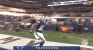 Regular Season Dancing GIF by NFL