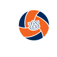 War Eagle Sport Sticker by Auburn Tigers