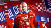 Hockeytown GIF by HC Dynamo Pardubice
