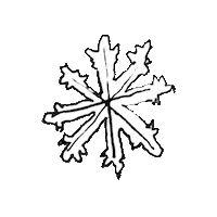 Christmas Spinning Sticker