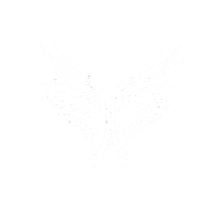 FocusPark wings womans day dzien kobiet dzienkobiet Sticker
