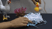 Run Egg GIF by Cookingfunny