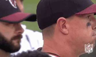 atlanta falcons football GIF by NFL