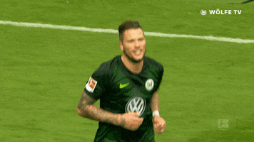 valentines day love GIF by VfL Wolfsburg
