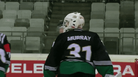 Gks Tychy Murray GIF by Champions Hockey League