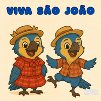 Festa Junina Viva Sao Joao GIF by Feraz NFT