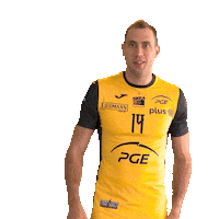 Atanasijevic Sticker by PGE Skra Bełchatów