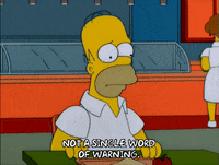 Episode 2 GIF by The Simpsons