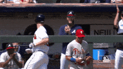 Major League Baseball Sport GIF by MLB