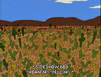 Season 5 GIF by The Simpsons