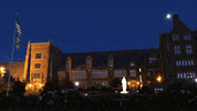 GIF by MercyhurstU