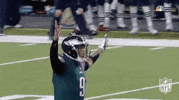 GIF by NFL