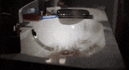 Movember shave GIF by CBS