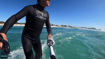 Hydrofoil Surfer Rescues Stranded Dog After Kayak Overturns on Gold Coast