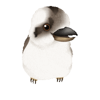 Waddles Kookaburra Sticker by zoopeez