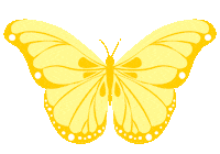 Yellow Butterfly Fly Sticker by Bel Diniz