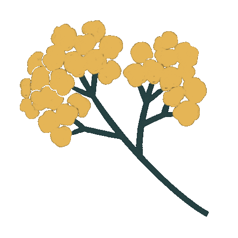 Illustration Flower Sticker