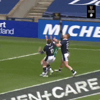 Irish Rugby GIF by Guinness Six Nations