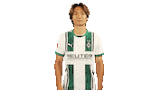 Borussia Moenchengladbach Hello Sticker by Bundesliga