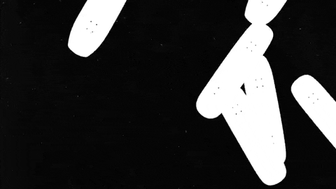 dudeinbk giphygifmaker transworld skate decks history of board shapes GIF