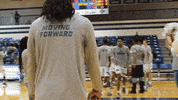 vwu_marlins marlins vwu wethebeach virginiawesleyan GIF