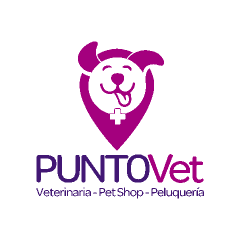 PuntoVet giphygifmaker gato gatos perro Sticker