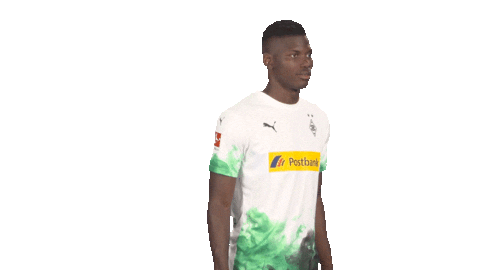 Posing Line Up Sticker by Bundesliga