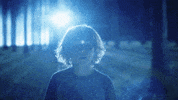 TheAvenue_Film fantasy tiger florida zoo GIF