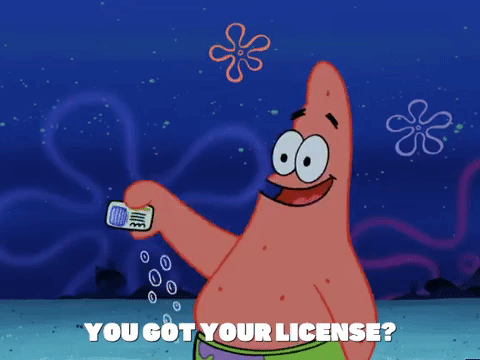 season 4 driven to tears GIF by SpongeBob SquarePants