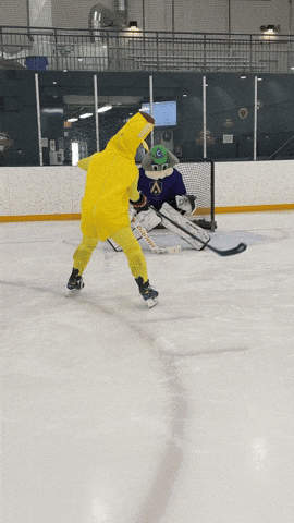 Goal Hockey GIF by heroboard fitnes