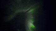 forces of nature GIF by PBS