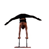 Balance Handstand Sticker by ShellyFLEX