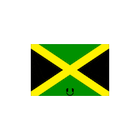 Flag Day Spinning Sticker by Nova Sound