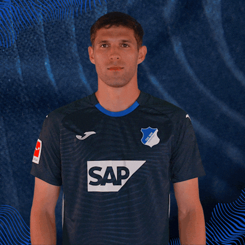 Sport Bundesliga GIF by TSG Hoffenheim