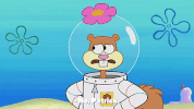 season 9 the fish bowl GIF by SpongeBob SquarePants