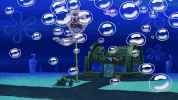 season 9 the fish bowl GIF by SpongeBob SquarePants
