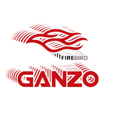 crossteroficial giphygifmaker ganzo Sticker