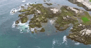 maine GIF