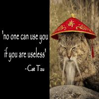 Cat Tzu GIF