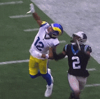 Los Angeles Rams Football GIF