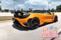 765Lt GIF by TheHamiltonCollection