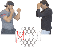 Spine Spinning Sticker by MMADen