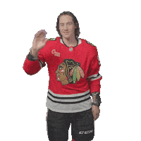 Tyler Bertuzzi Chicago Sticker by NHLBlackhawks